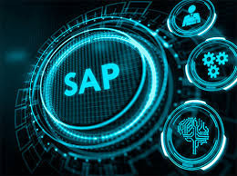 Manual do Usuário SAP