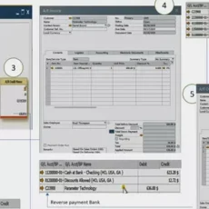 SAP Business One: Purchases, Inventory, Sales, Accounting and Payments with Bank module
