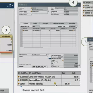 SAP Business One: Purchases, Inventory, Sales, Accounting and Payments with Bank module